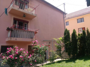 Apartmani Konta